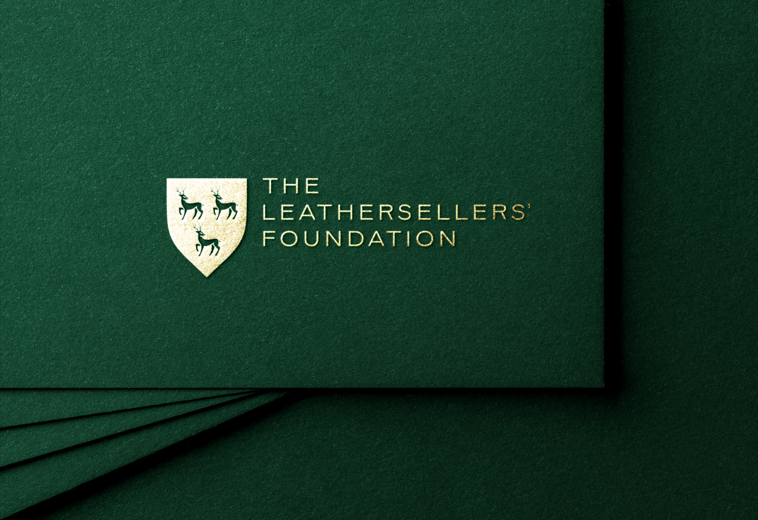 Foundation Logo Mockup 1