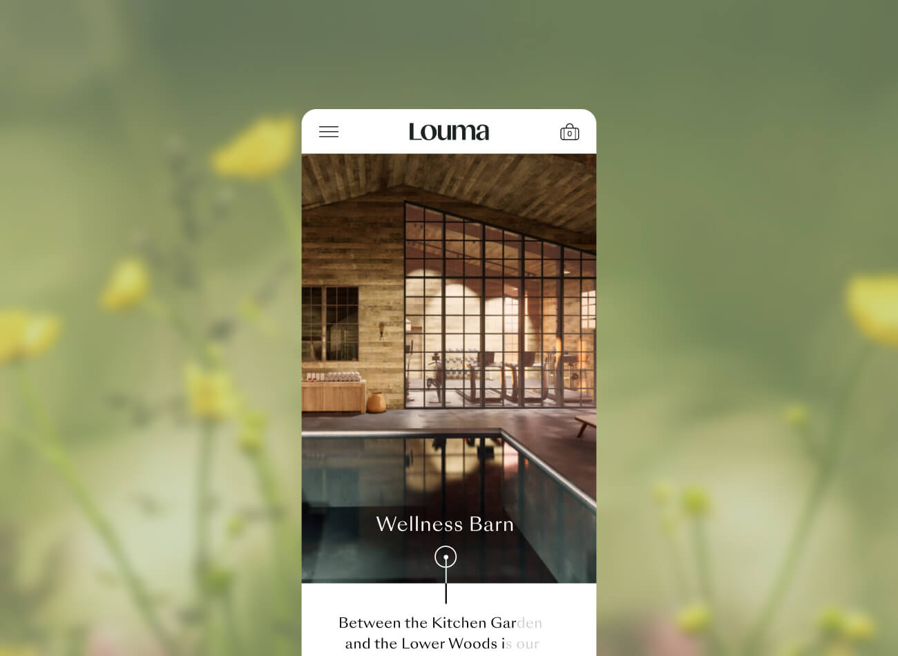 Deep Design Agency Louma Digital Website Cover