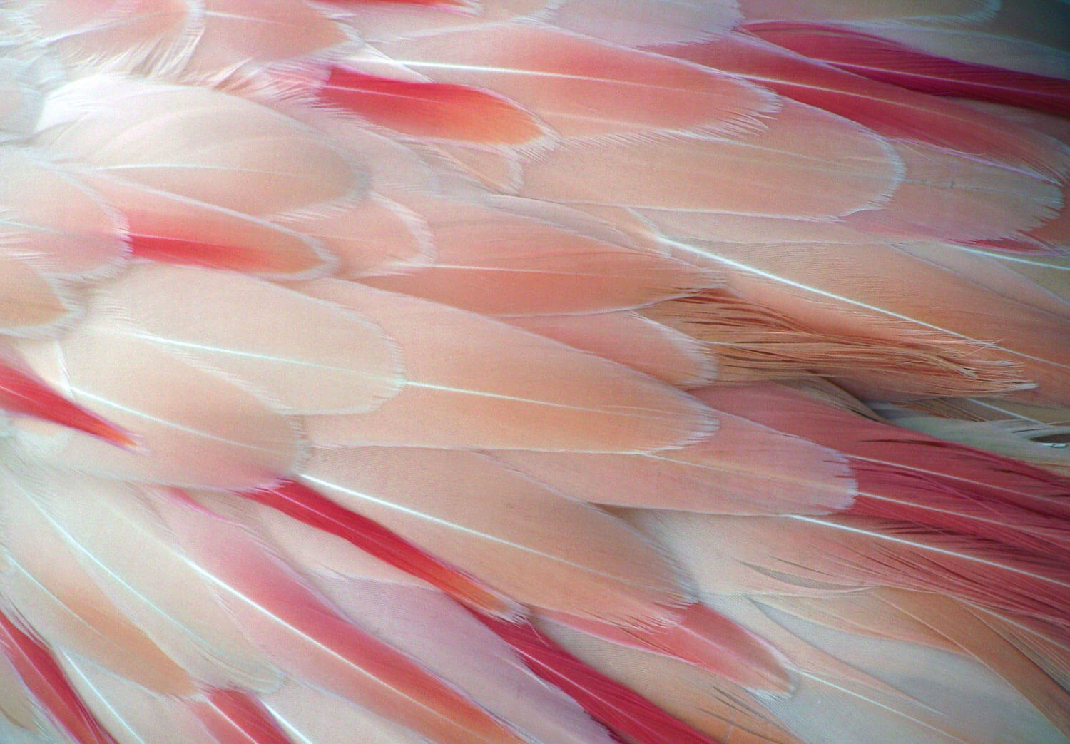  Deep Design Agency Emaar Dubai 5